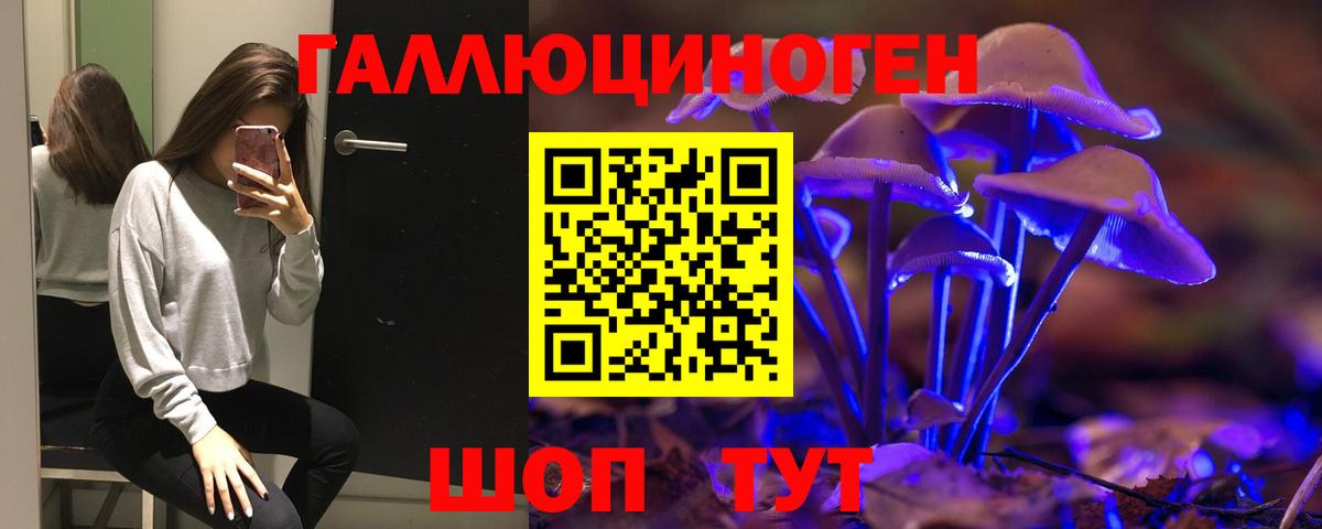 Псилоцибиновые грибы GOLDEN TEACHER Нижний Новгород
