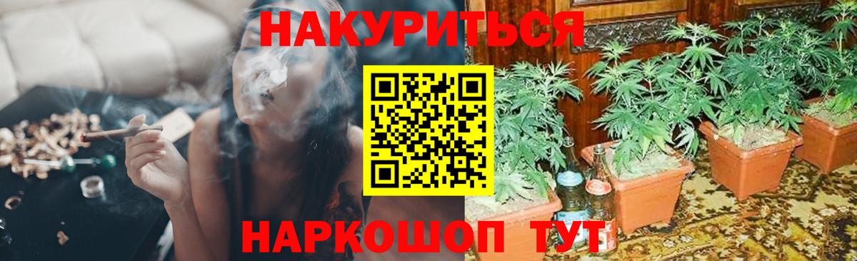 Шишки марихуана Amnesia Нижний Новгород